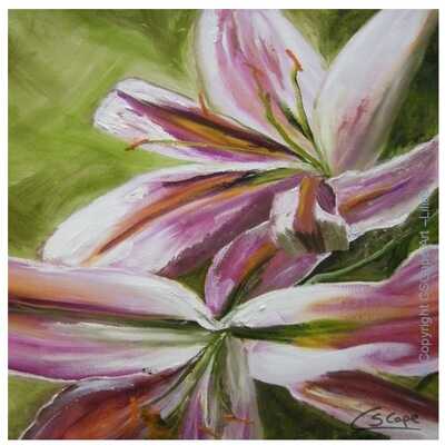 Lilies by CSCape