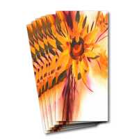 Pack of six greeting cards - Sunflower Awakening
